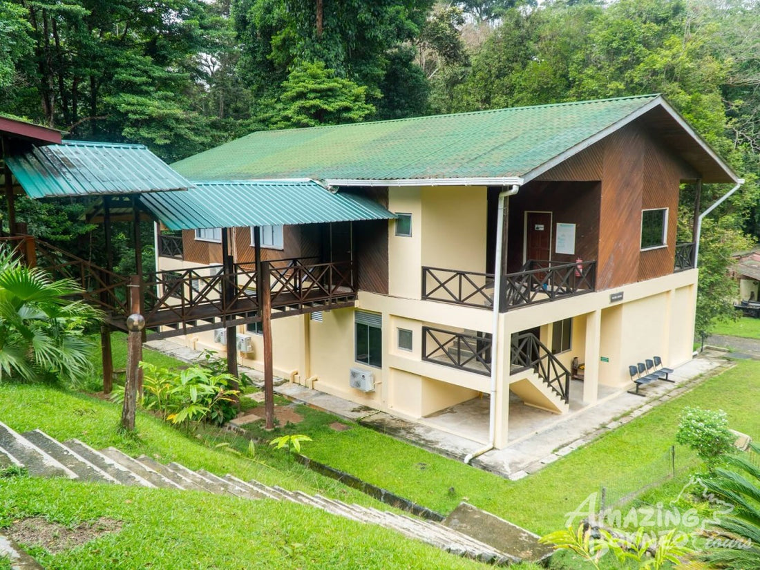 5D4N Wings & Wonder: Bird Watching Tour at Danum Valley Field Centre