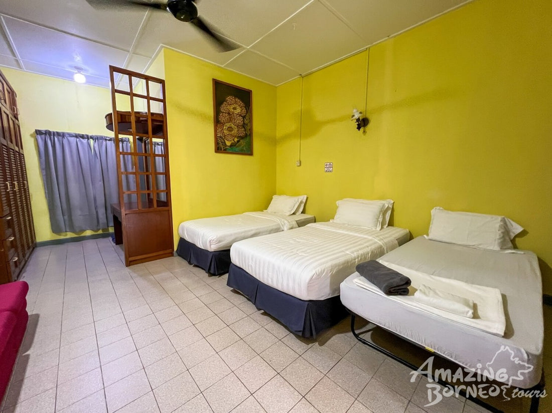 3D2N Danum Valley Field Centre