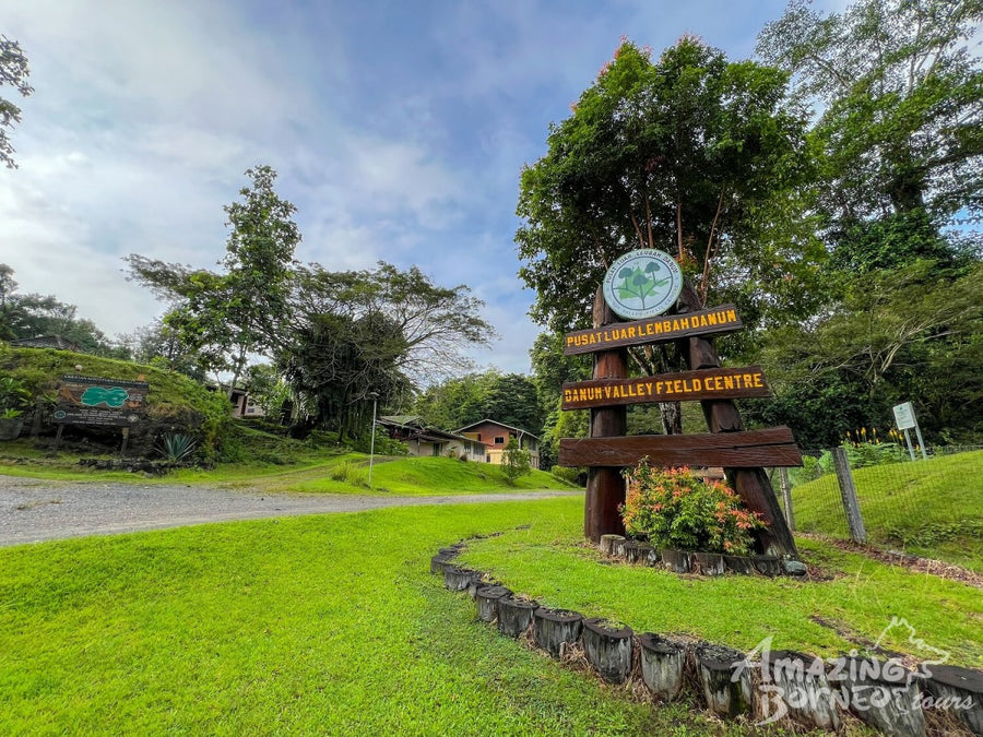 5D4N Danum Valley Field Centre – Nature Lover Experience (Budget)