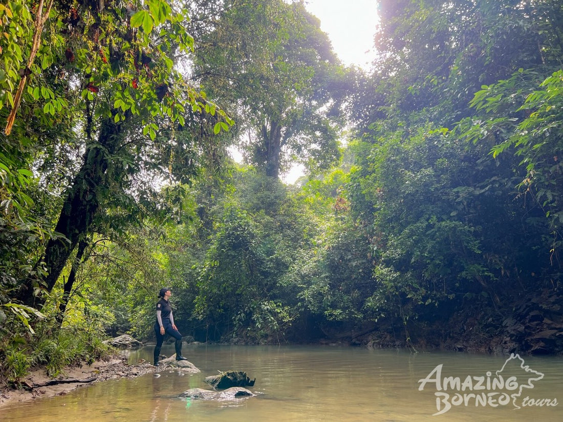 3D2N Danum Valley Expedition with INFAPRO Conservation Stay