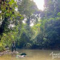 3D2N Danum Valley Expedition with INFAPRO Conservation Stay