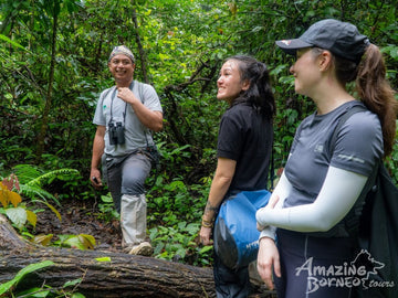 4D3N Danum Valley Wildlife Adventure with INFAPRO Reforestation Stay