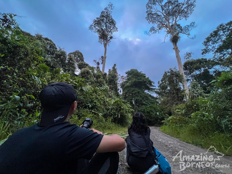 5D4N Wings & Wonder: Bird Watching Tour at Danum Valley Field Centre