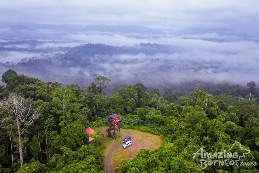 5D4N Danum Valley Birdwatching with INFAPRO Conservation Stay