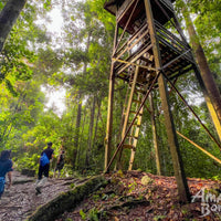 5D4N Danum Valley Birdwatching with INFAPRO Conservation Stay