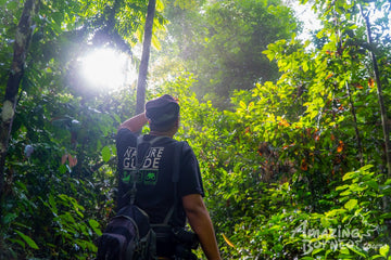 5D4N Danum Valley Birdwatching with INFAPRO Conservation Stay