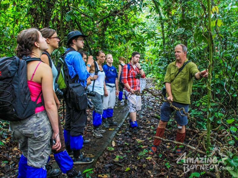 5D4N Wings & Wonder: Bird Watching Tour at Danum Valley Field Centre