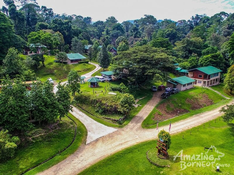5D4N Wings & Wonder: Bird Watching Tour at Danum Valley Field Centre