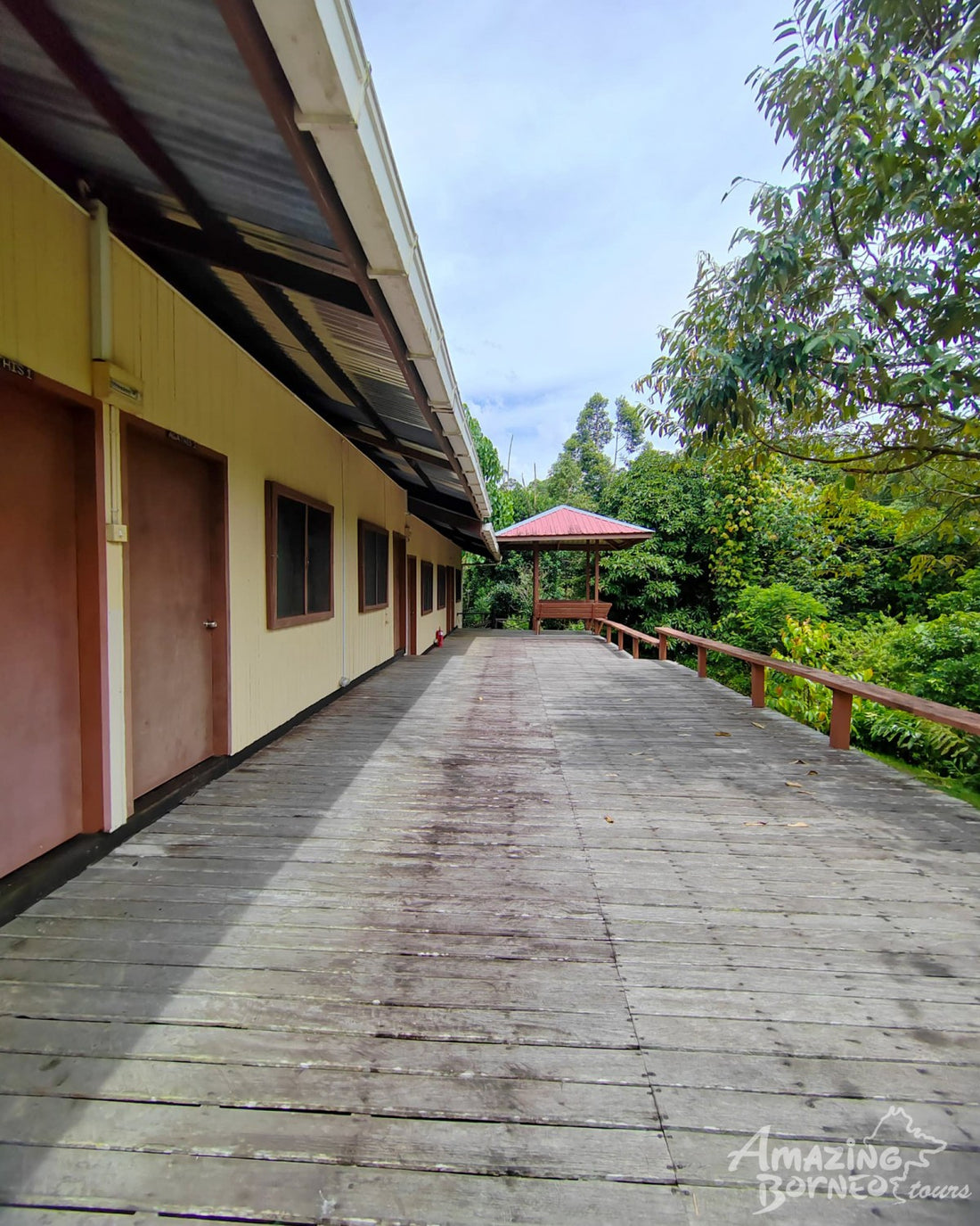 4D3N Danum Valley Wildlife Adventure with INFAPRO Reforestation Stay