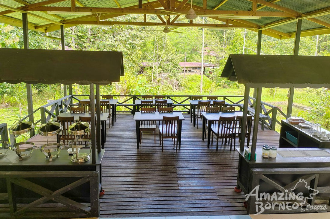 3D2N Danum Valley Expedition with INFAPRO Conservation Stay