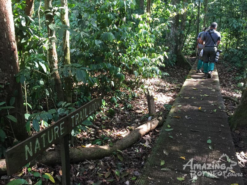 3D2N Borneo Rainforest Lodge