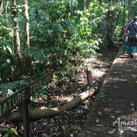 3D2N Borneo Rainforest Lodge