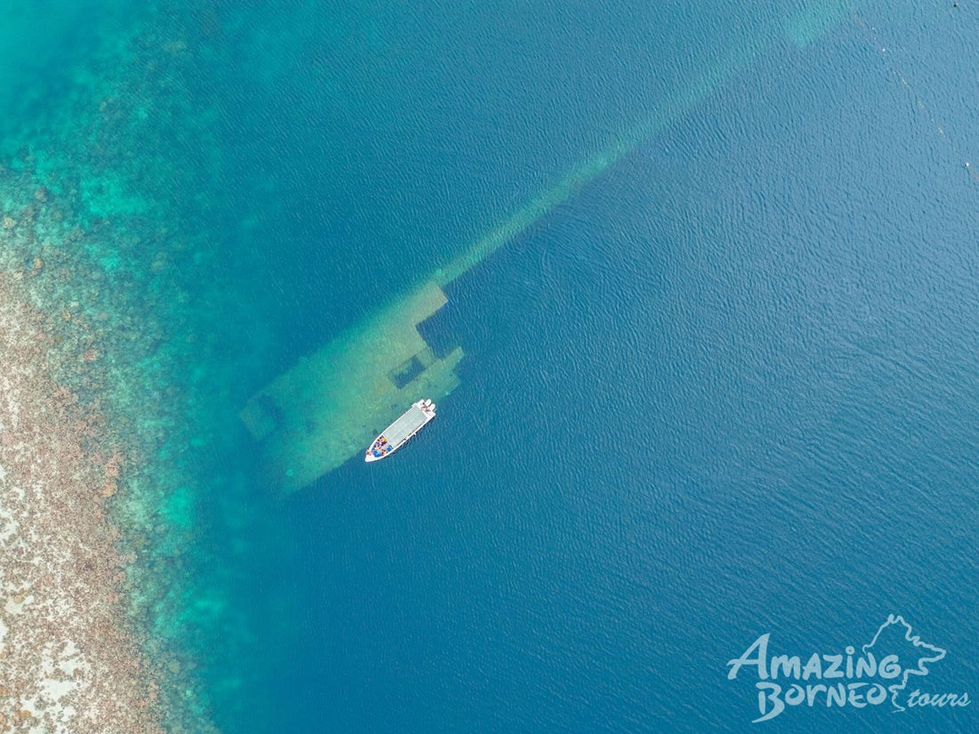 3D2N Borneo Rainforest Lodge & Blue Rings Reef – Danum Valley Eco-Adventure