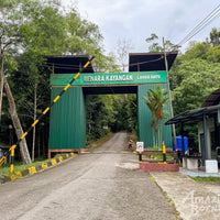 5D4N Borneo Rainforest Lodge & Blue Rings Reef – Danum Valley Immersion