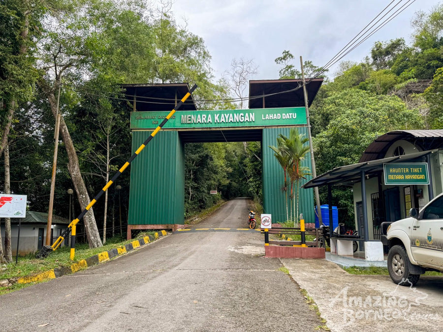 5D4N Borneo Rainforest Lodge & Blue Rings Reef – Danum Valley Immersion