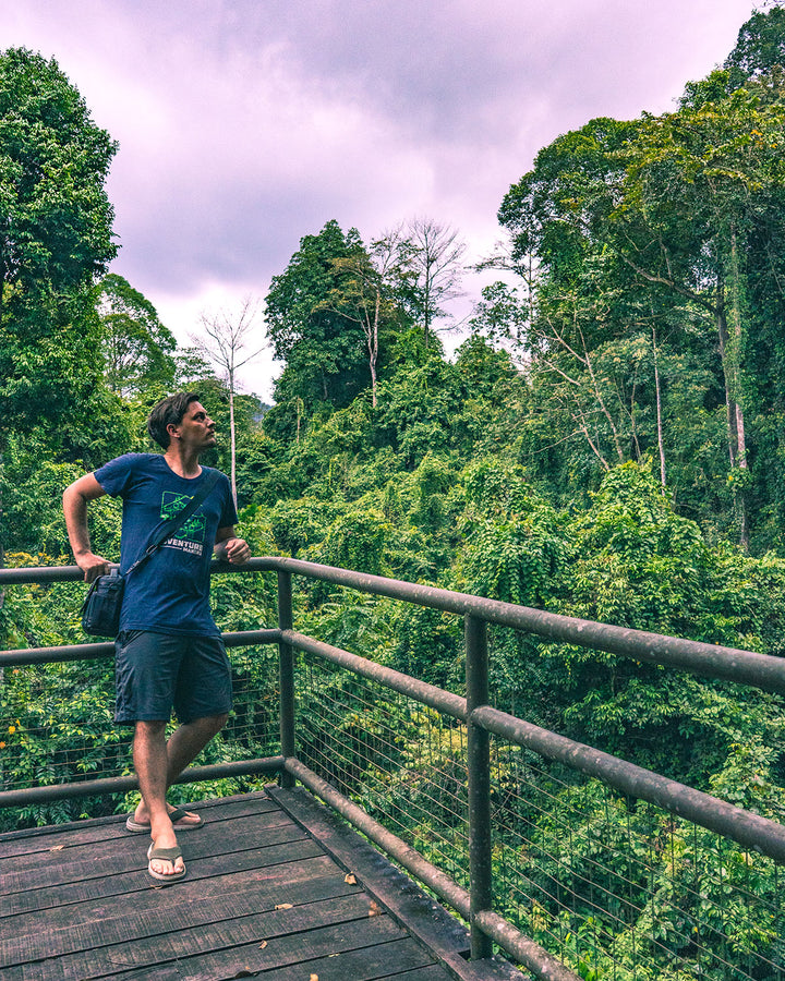 Kawag Danum Valley Rainforest