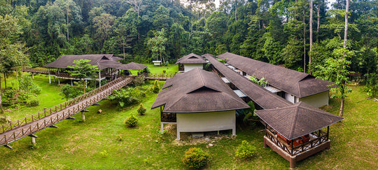 Kawag Danum Valley Rainforest Nature Lodge