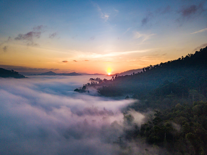 Kawag Danum Valley Rainforest Morning Sunrise