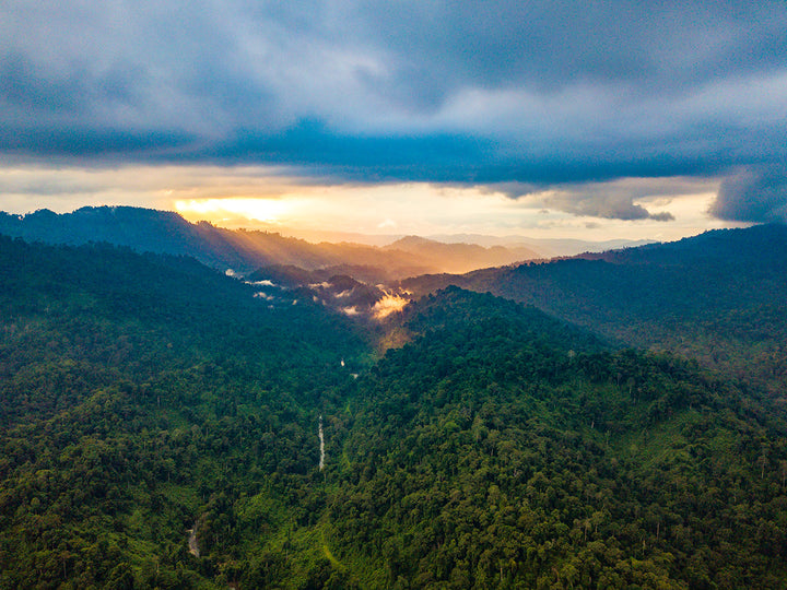 Kawag Danum Valley Rainforest Nature Sunrise