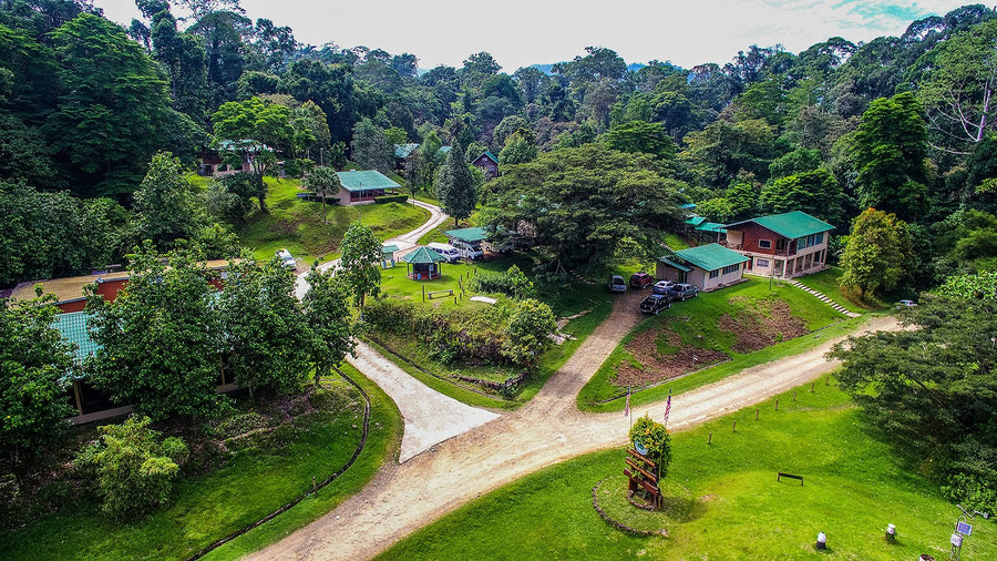4D3N Danum Valley Field Centre - Danum Valley Rainforest Lodge