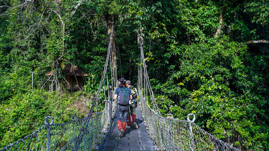 4D3N Danum Valley Field Centre - Danum Valley Rainforest Lodge