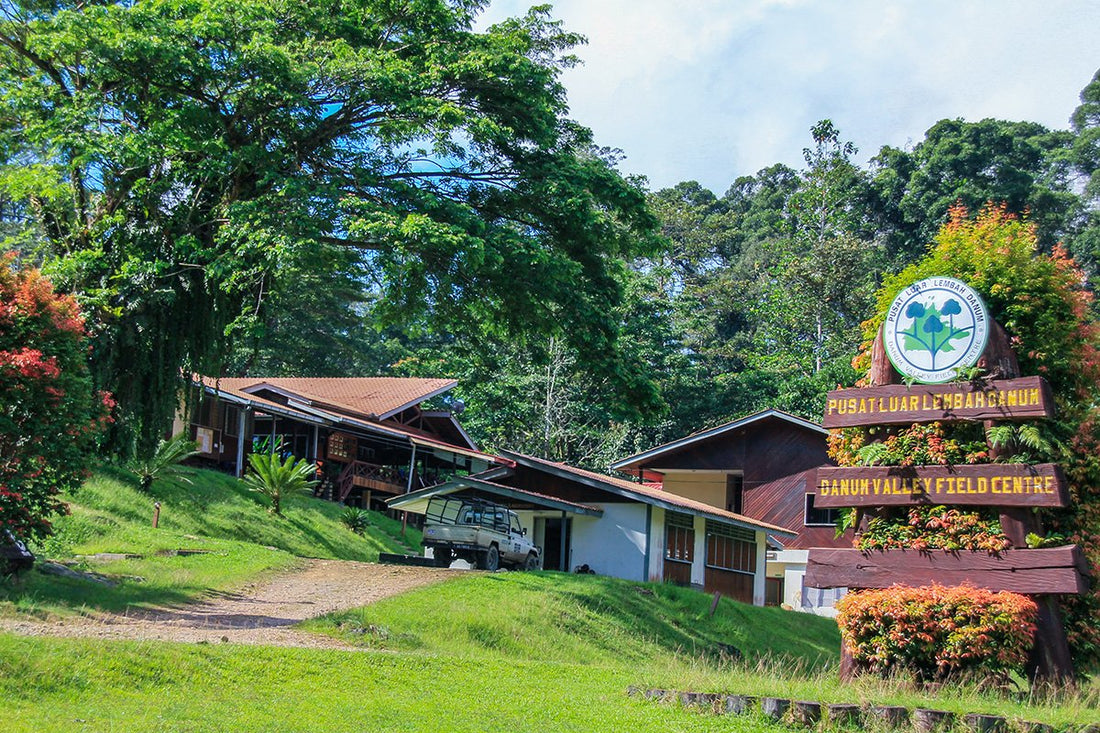 3D2N Danum Valley Field Centre - Danum Valley Rainforest Lodge