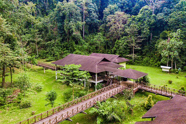 3D2N Kawag Danum Rainforest Lodge - Danum Valley Rainforest Lodge